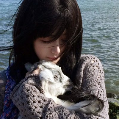 我的渡劫指南段先生